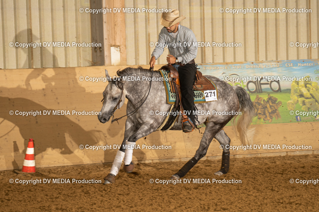 LAU00217 | dv-media-shop - Realisiert mit Pictrs.com