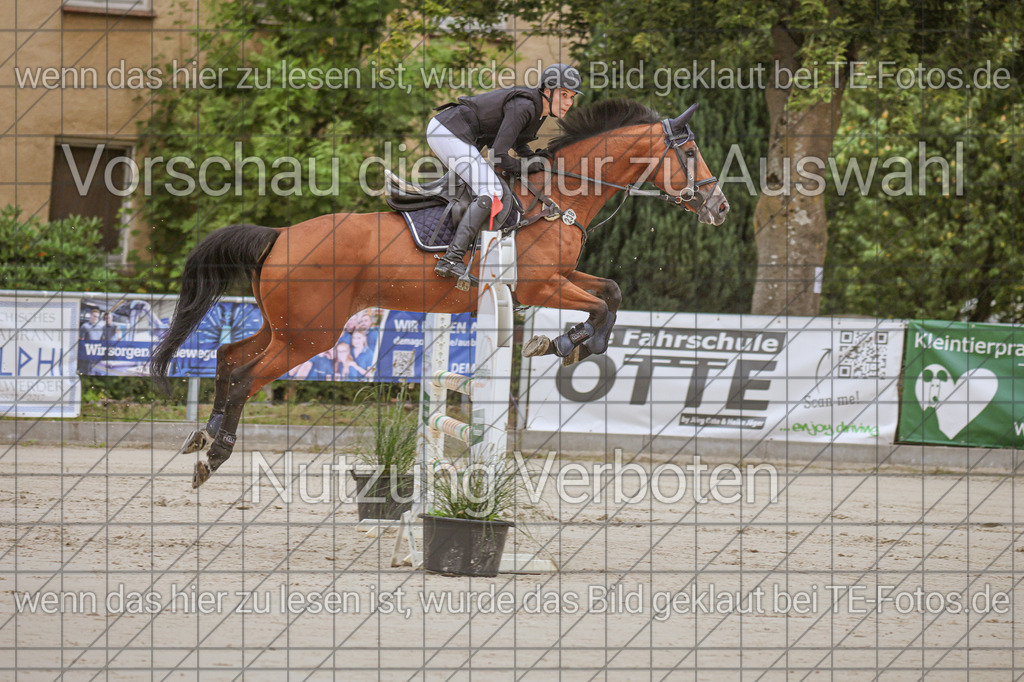 2025-09-22_09-35-36_MG_3784 | TE-Fotos