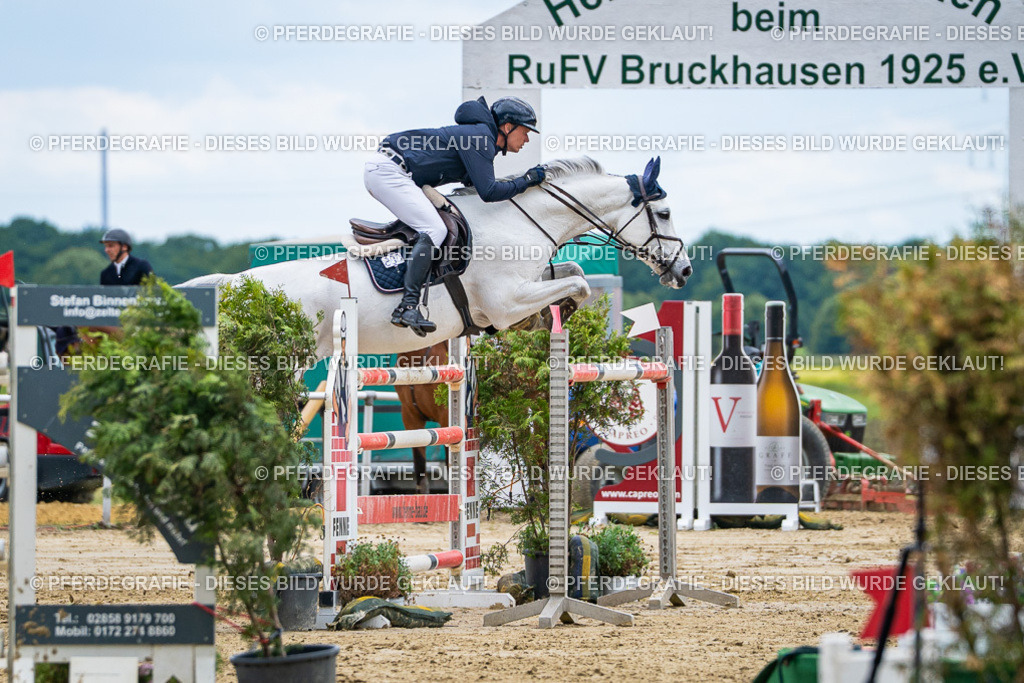 DSC06002 | Pferdegrafie