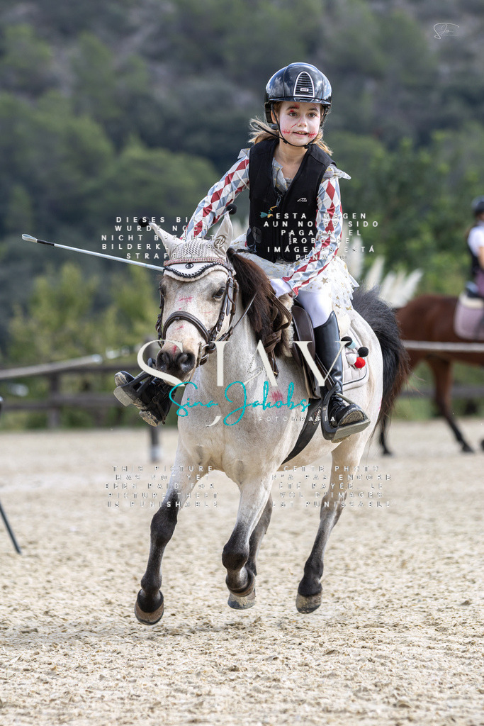 IMG_2298 | s-jay-photography - Realisiert mit Pictrs.com