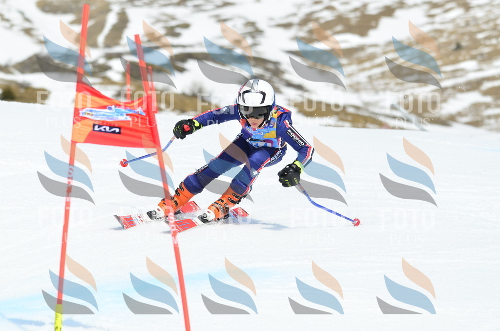 _ELE2364 | holidayphoto