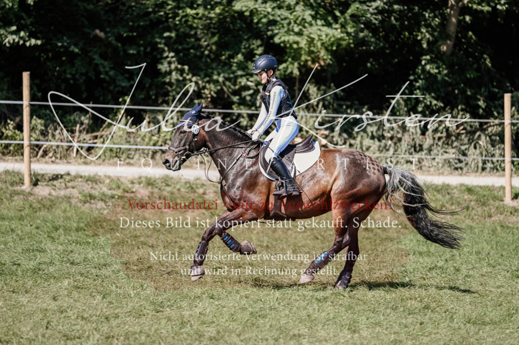 DSC_2801 | Pferde- und Turnierfotografie in Westsachsen. Pferdeportraits, Auftragszeichnungen und intuitive Kunst.