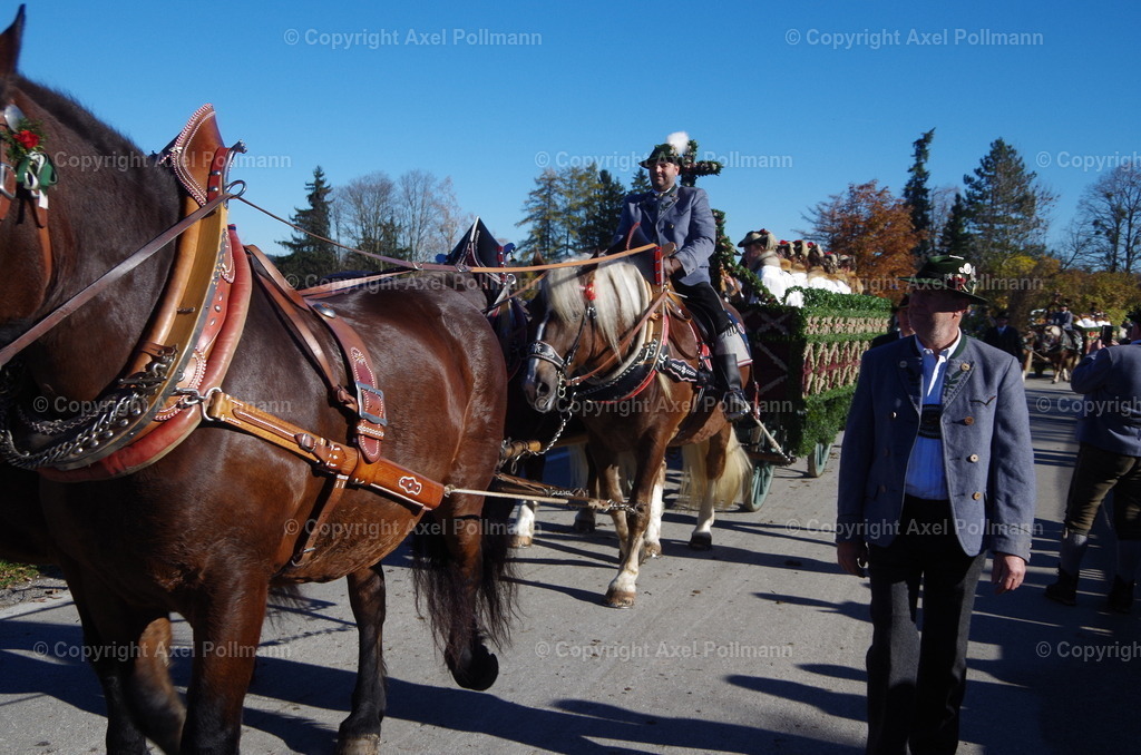IMGP8321 | fotografiert von Axel PollmannLeonhardi Wallfahrt Benediktbeuern und Murnau, Fronleichnam, Fasching, Landschaft im Loisachtal und Benediktbeuern  - Realisiert mit Pictrs.com