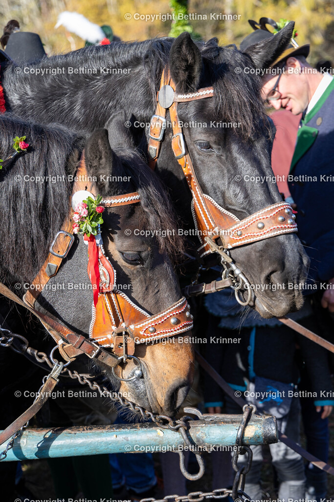LBT24-1067 | foto-bettina-krinner - Realisiert mit Pictrs.com
