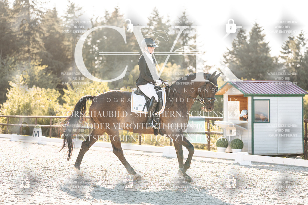 CK907196 | Turnierfotografie Pferdefotografie Trier Rheinland-Pfalz Pferdesport Reitsport Tierfotografie Sportfotografie Pferdevideo Pferdevideografie Equestrianvideography equestrianphotography  - Realisiert mit Pictrs.com