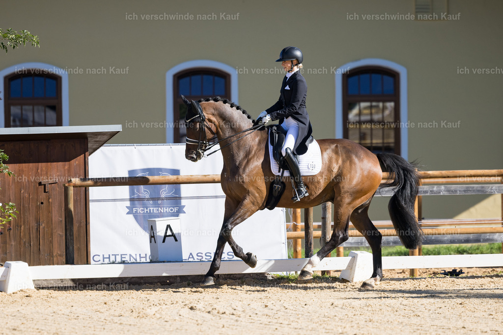 FHC2026_P07_150_17316 | working equitationturnier fotograf videograf stoibphotography marixx film working equitation deutschland reitsport turnierfotografie eventfotografie equestrian events