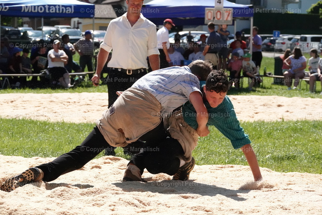 DSC04713 | Schwingen - Realisiert mit Pictrs.com