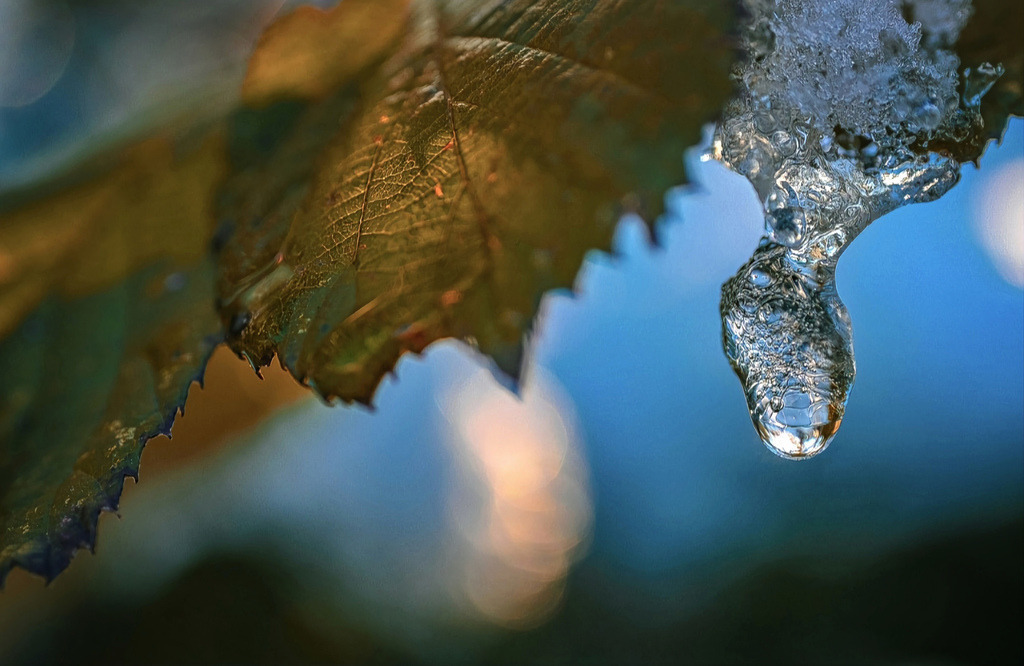 20231011180900IMG_20230129_111718_892-2 | Kaufen sie online außergewöhnliche Fotografien auf Leinwand Acrylglas Fotoprint Aludibond von holgerweigeltfotografie - Realisiert mit Pictrs.com