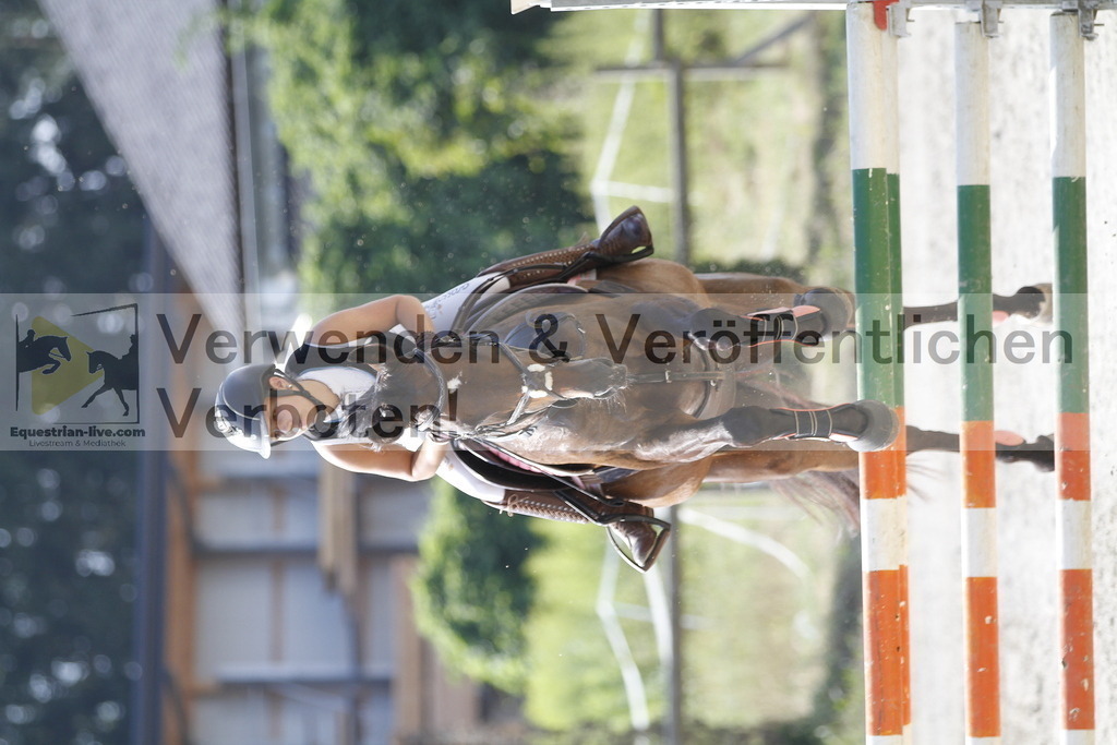 _MG_8571 | equestrian-live-com