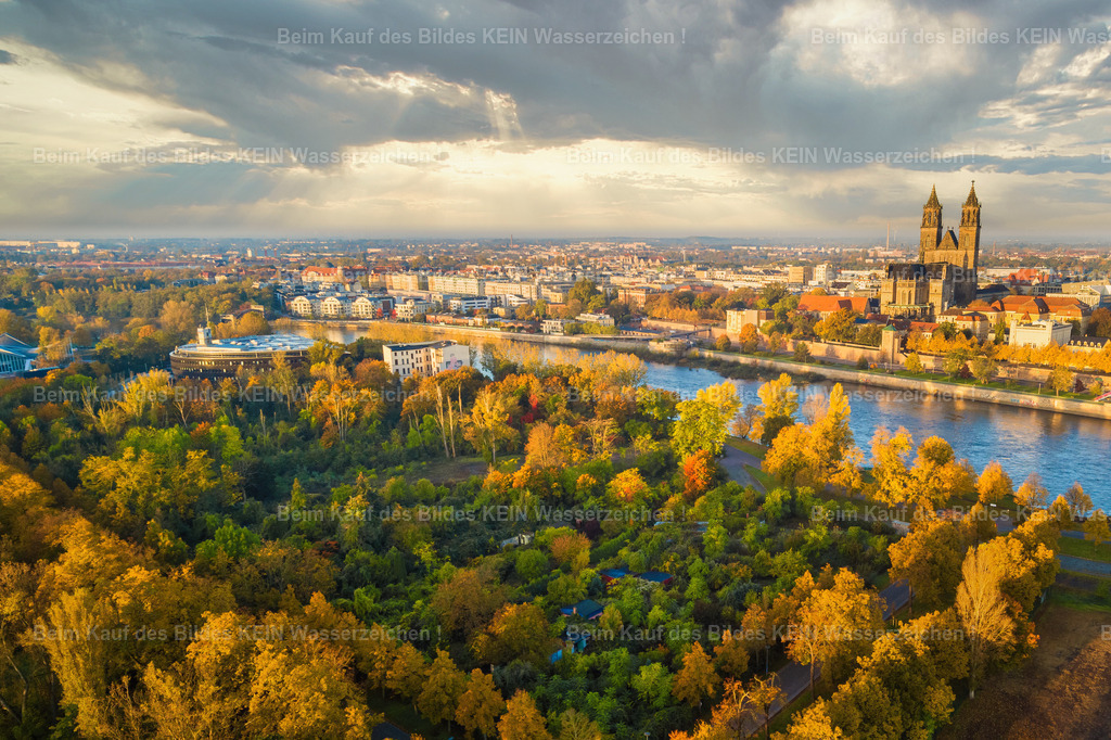 Magdeburg_Herbst_Gärten_Stadtpark_dramatisch-0025 | ehemalige Gärten, Elbe und Dom im Stadtpark - Realizado com Pictrs.com