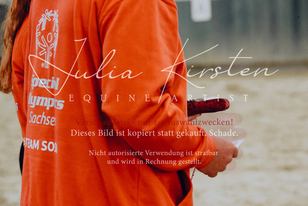 DSC_7087 | Pferde- und Turnierfotografie in Westsachsen. Pferdeportraits, Auftragszeichnungen und intuitive Kunst.