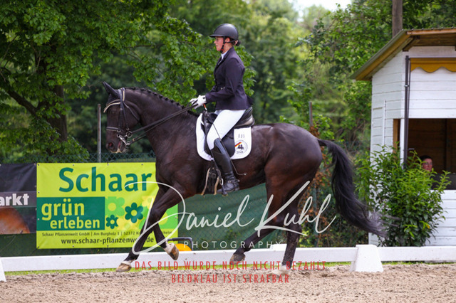 DKP41181 | Turnierfotos kaufen im Webshop von Daniel Kuhl Photography – entdecke professionelle Reitsportfotos aus Turnieren & Events. Hochwertige Turnierbilder online bestellen & sichern. Jetzt Fotos von Reitsportturnieren kaufen!