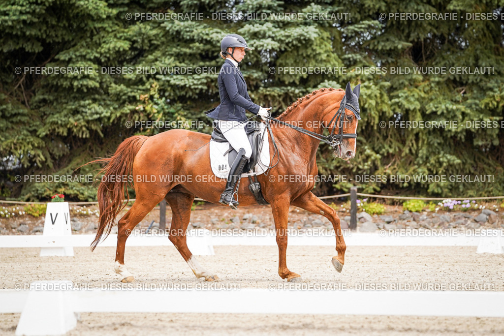 DSC04710 | Pferdegrafie