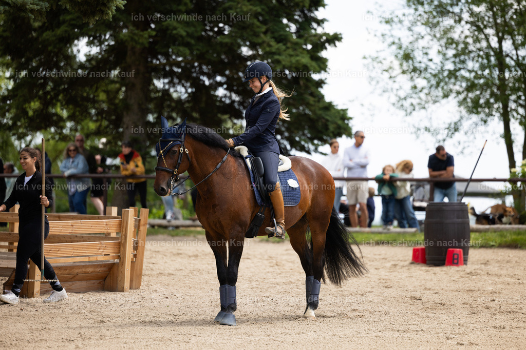 Masterclass_stoibphotography_C2_C8493.CR3 | working equitationturnier fotograf videograf stoibphotography marixx film working equitation deutschland reitsport turnierfotografie eventfotografie equestrian events
