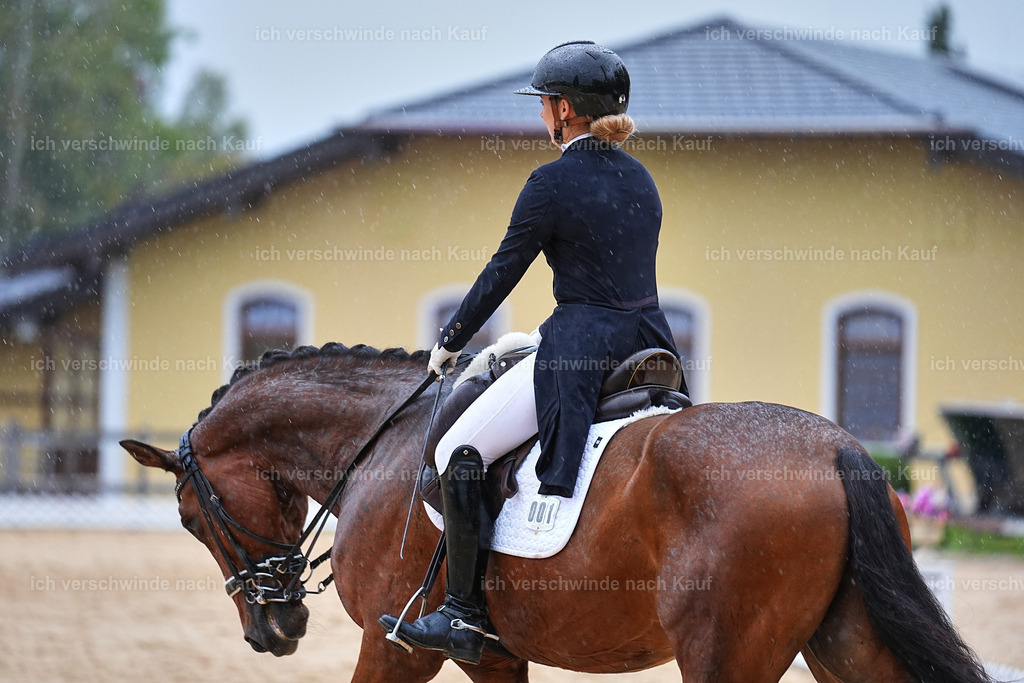 8_1-001-Klasse S_  -Marixx-4329 | working equitationturnier fotograf videograf stoibphotography marixx film working equitation deutschland reitsport turnierfotografie eventfotografie equestrian events