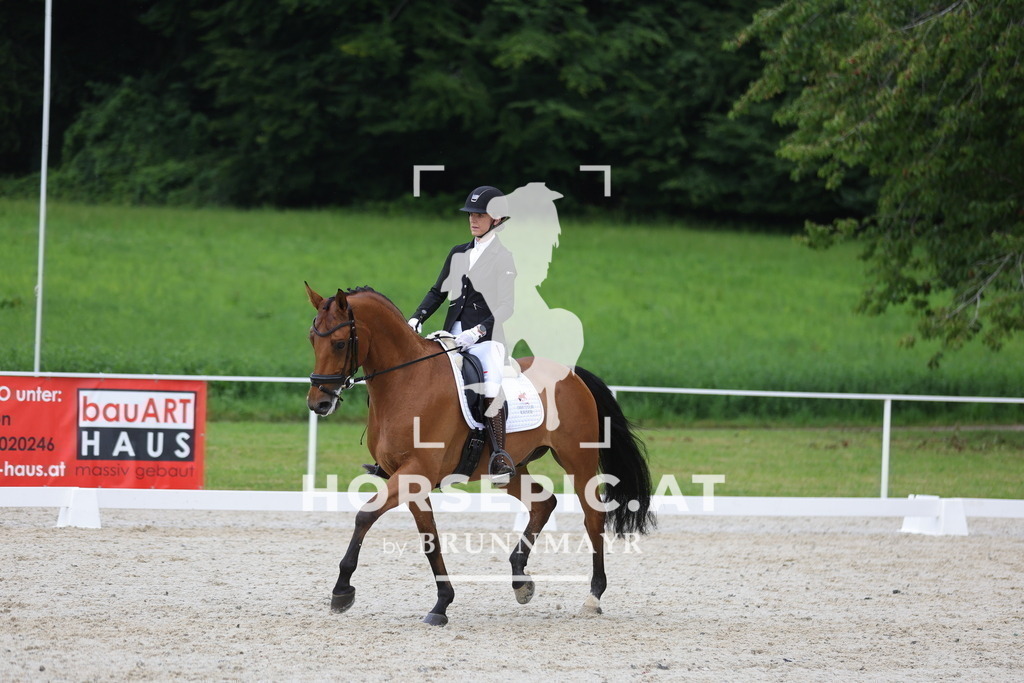 0P6A8725 | Willkommen bei Brunnmayr - Design & Fotografie – Ihrem Spezialisten für Reitturniere und Pferdeveranstaltungen in Oberösterreich, Salzburg und Bayern! Seit über 17 Jahren sind wir leidenschaftlich dabei.