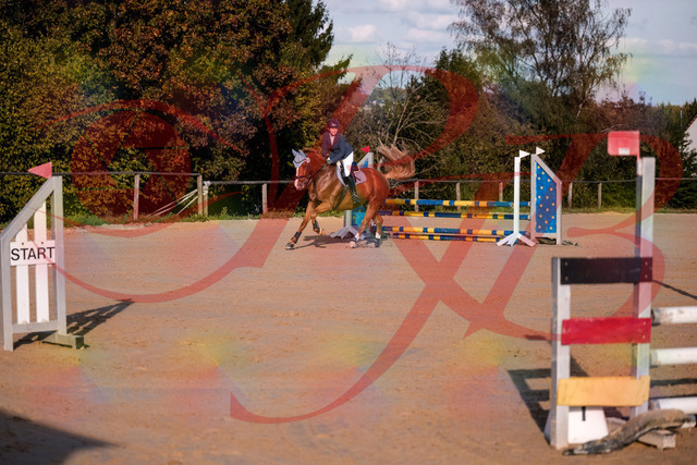 2026_10_03_Siefer-Hof_171224_Z81_09628101 | Professionelle Reitsport-, Turnier- und Eventfotografie von Robert Broda. Galerien mit ausgewählten und bearbeiteten Bildern direkt online ansehen und bestellen.