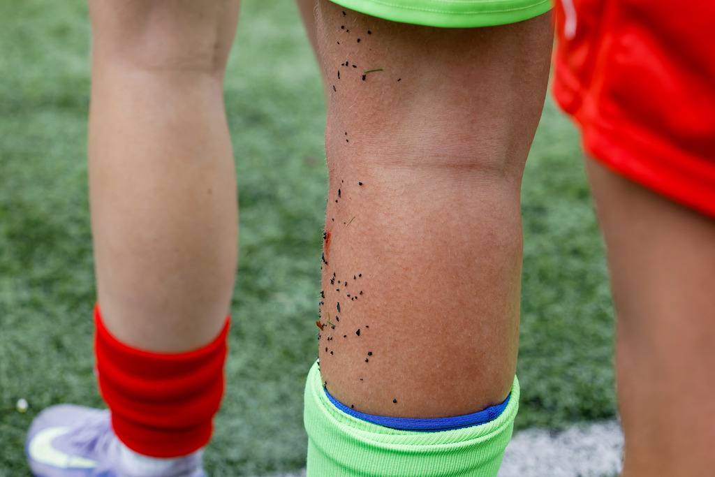 FCHHOH_251005_6173 | 1.FC Heidenheim 1846 II vs. SGM Hohenmemmingen/Sontheim, Fußball, Frauen, Bezirksliga, 2025/2026, 4. Spieltag, 05.10.2025 in Heidenheim, Kunstrasen b. Voith-Arena West(Foto: Michael Bulling) - Realisiert mit Pictrs.com