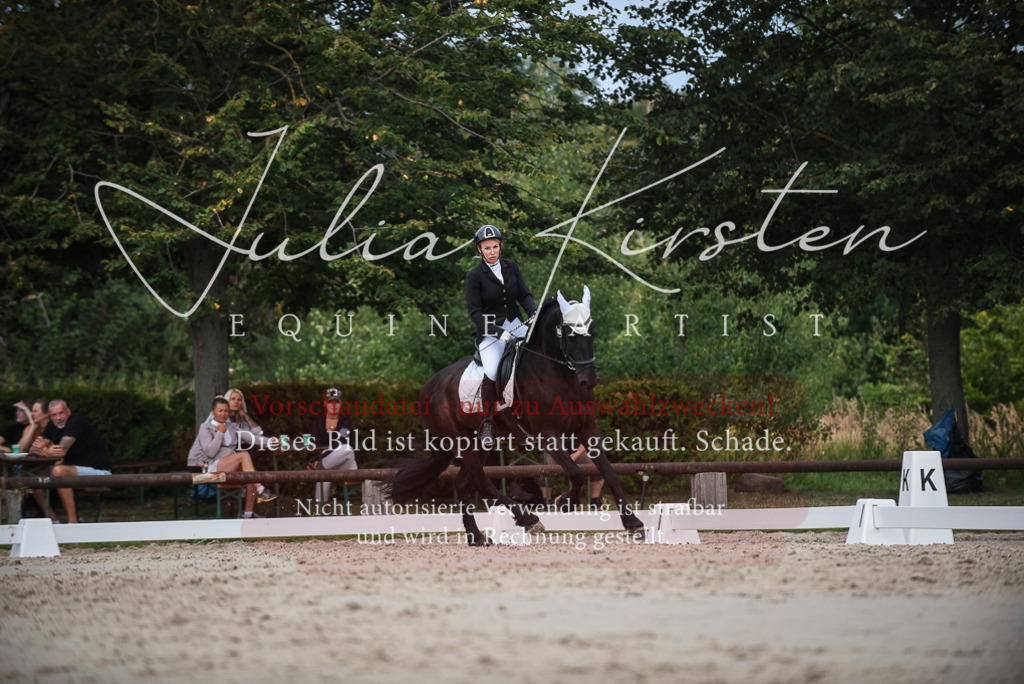 DSC_8637 | Pferde- und Turnierfotografie in Westsachsen. Pferdeportraits, Auftragszeichnungen und intuitive Kunst.