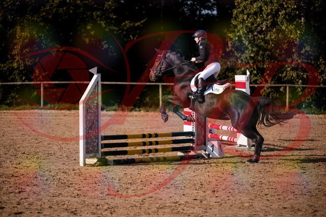 2026_10_03_Siefer-Hof_154857_Z81_67260792 | Professionelle Reitsport-, Turnier- und Eventfotografie von Robert Broda. Galerien mit ausgewählten und bearbeiteten Bildern direkt online ansehen und bestellen.