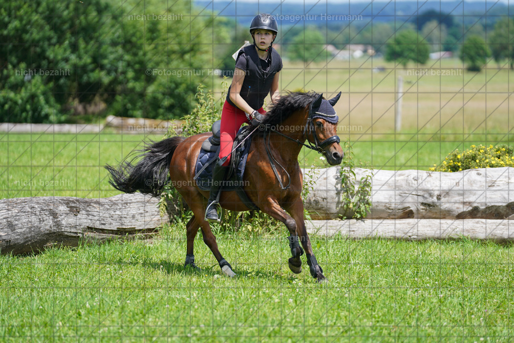 20240622-FAH07292 | Turnierfotografen Bayern, Reitsportbilder aus dem Geländekurs mit Felix Etzel auf dem Gut Waitzacker 2024
