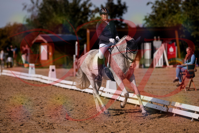 2026_10_03_Siefer-Hof_123144_Z81_30645205 | Professionelle Reitsport-, Turnier- und Eventfotografie von Robert Broda. Galerien mit ausgewählten und bearbeiteten Bildern direkt online ansehen und bestellen.