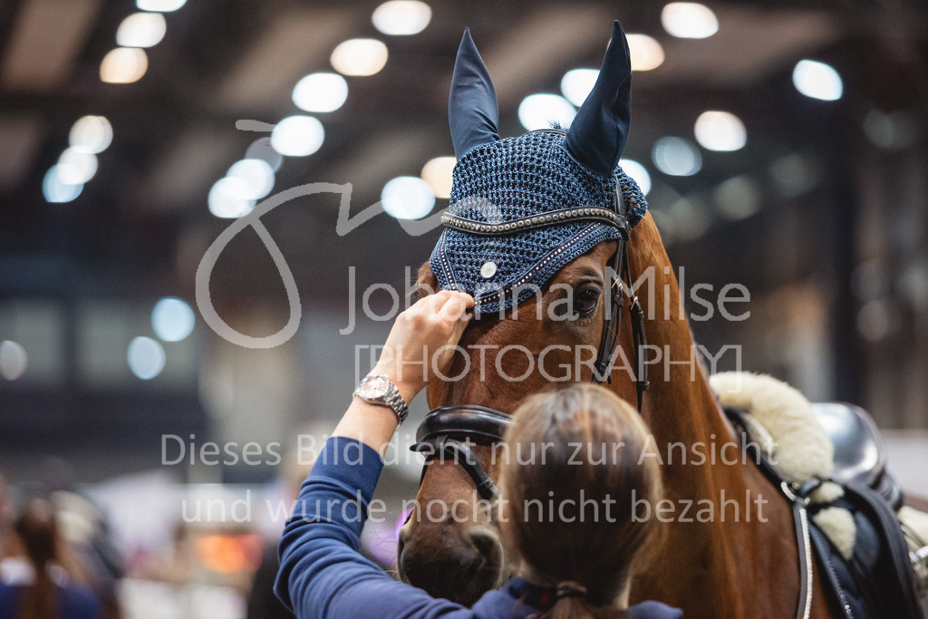 231028_Oldenburg_S1-Spr_Amateure-104 | Deine schönsten Turniermomente als professionelle Fotos! Entdecke hochwertige Pferdesport-Fotografie im Online-Shop. Jetzt Fotos finden & bestellen!