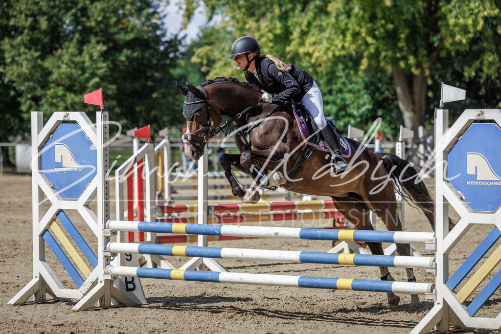 20260905-_3LI9045 | Tierfotografie Pferde, Hunde, Katzen, Haustiere.
Turnierfotografie Reitturniere, Reiten, Springreiten, Dressur in Hanau, dem Main-Kinzig-Kreis und dem Rhein-Main- Gebiet um Frankfurt