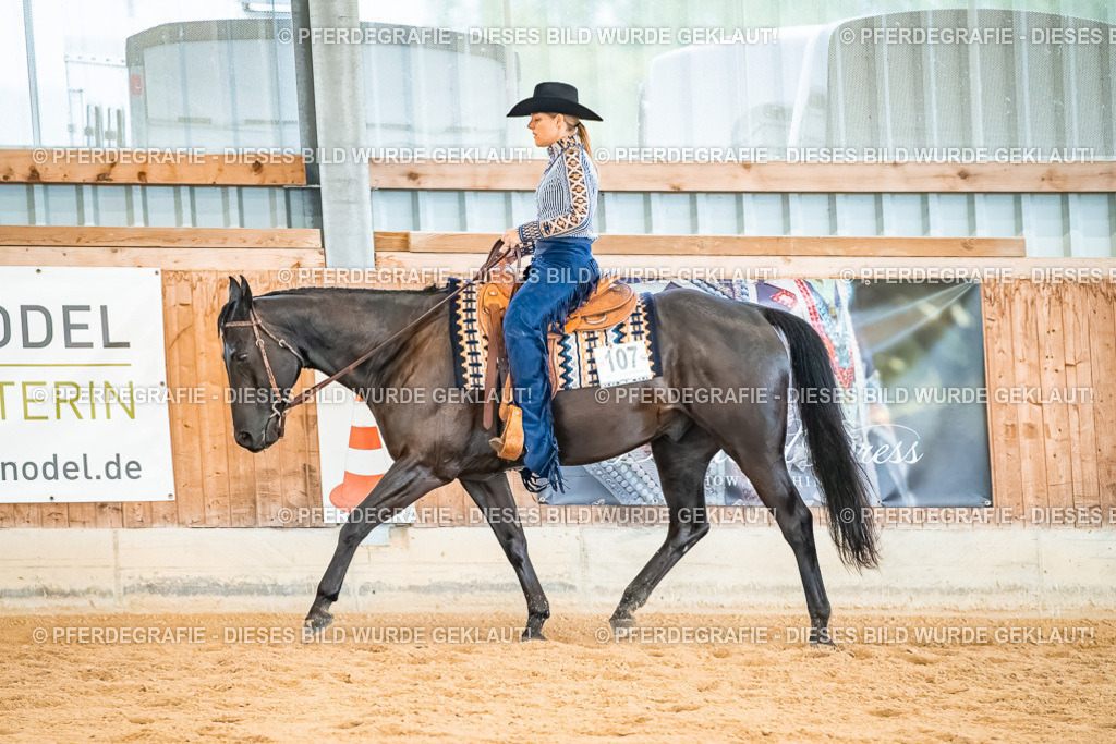 DSC00457 | Pferdegrafie