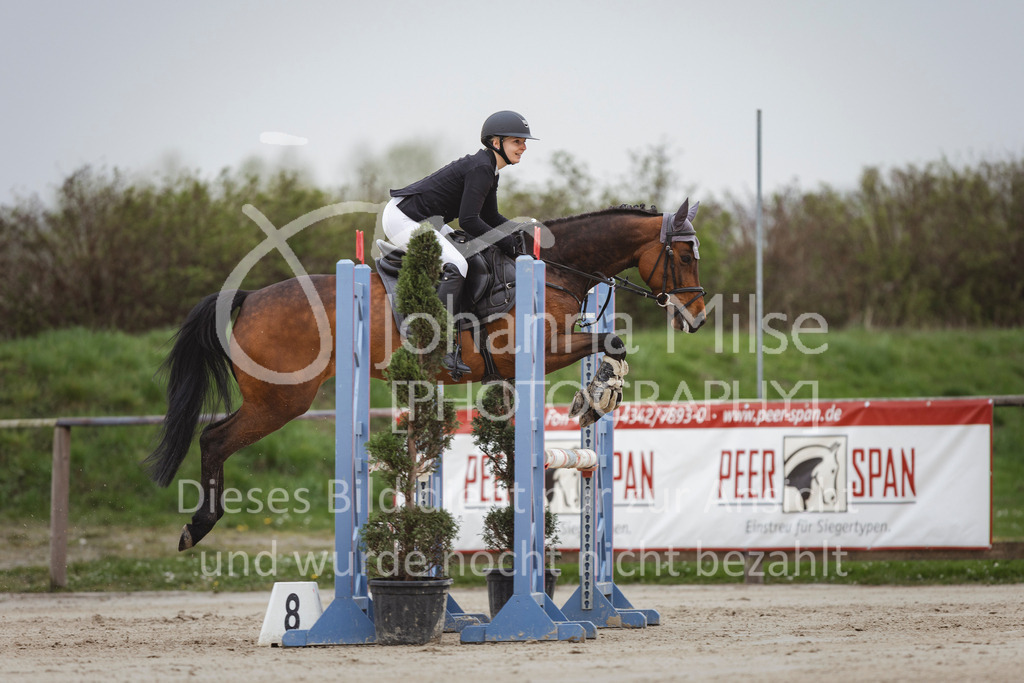 240330_Fruehlingsfest_Stil-A2-2-712 | Deine schönsten Turniermomente als professionelle Fotos! Entdecke hochwertige Pferdesport-Fotografie im Online-Shop. Jetzt Fotos finden & bestellen!