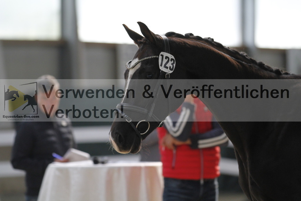 _MG_9615 | equestrian-live-com