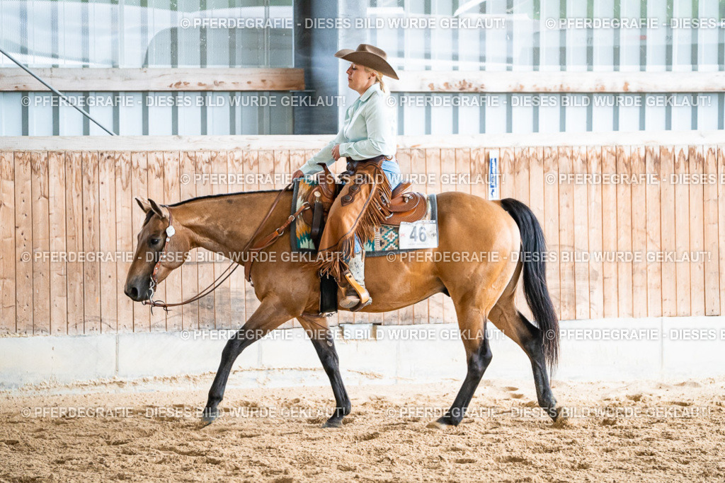 DSC00099 | Pferdegrafie