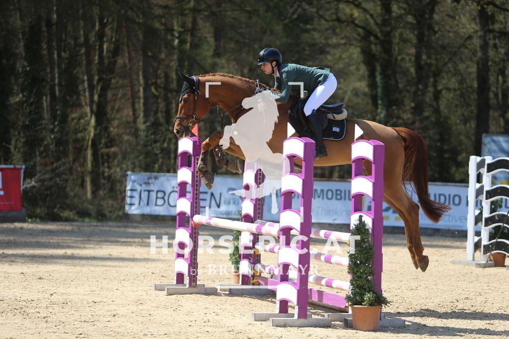 DL2Q9732 | Willkommen bei Brunnmayr - Design & Fotografie – Ihrem Spezialisten für Reitturniere und Pferdeveranstaltungen in Oberösterreich, Salzburg und Bayern! Seit über 17 Jahren sind wir leidenschaftlich dabei.