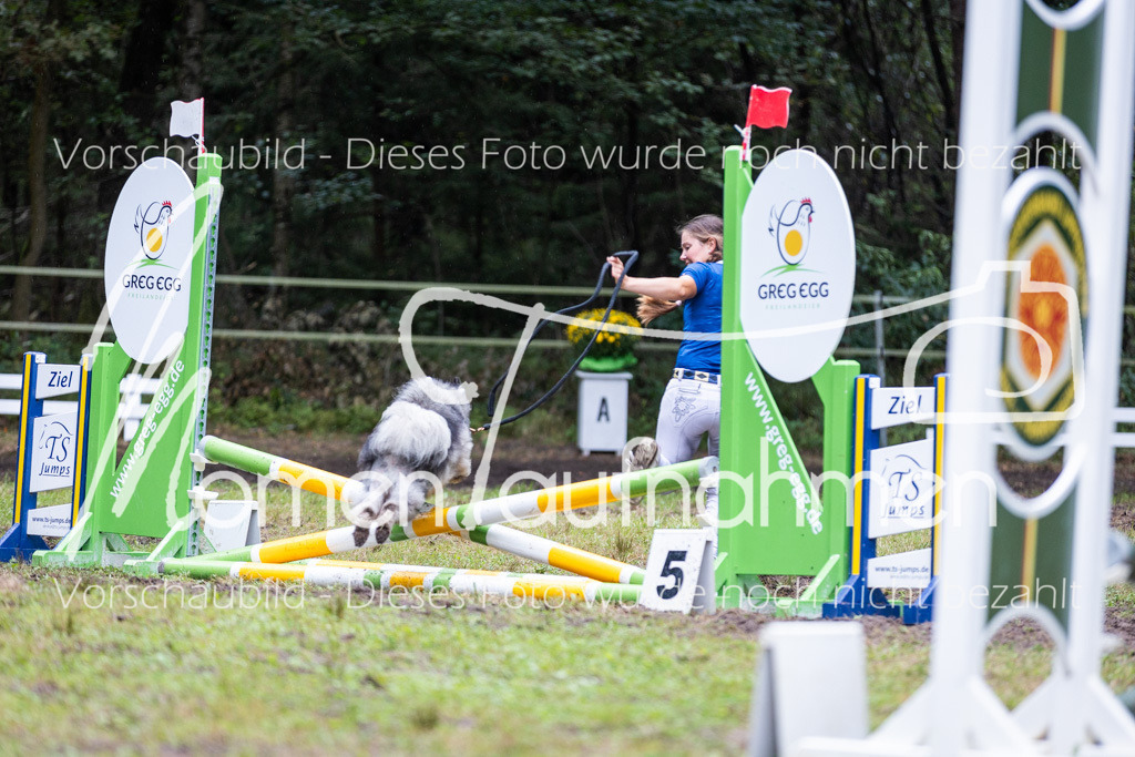 HB-JaD-026 | MomenTaufnahmen Pferdesportfotos