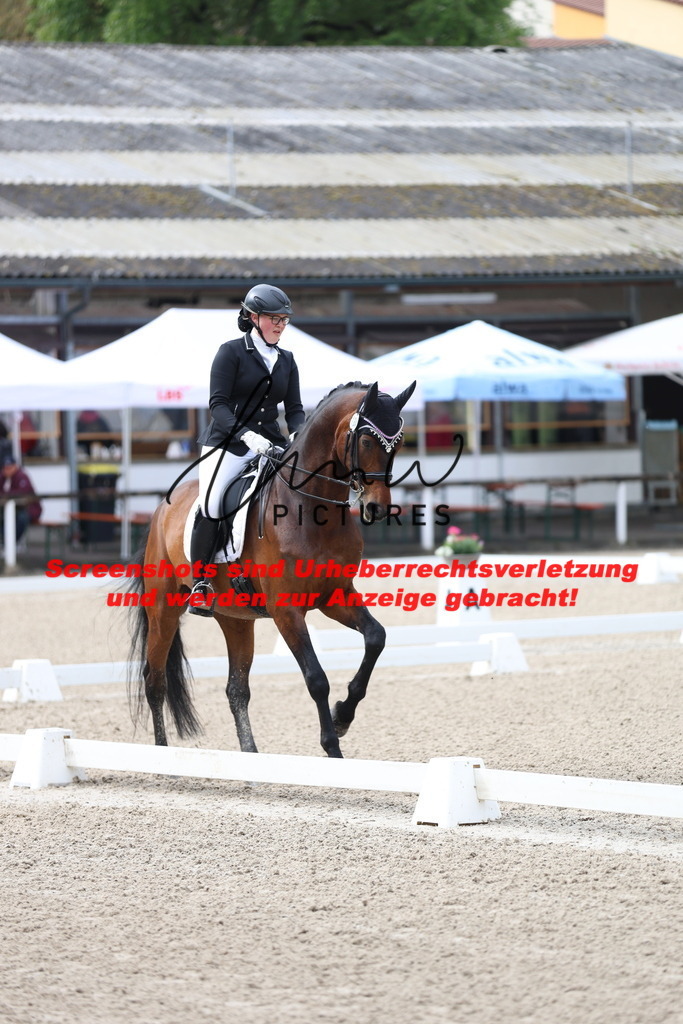 A40A0425 | lmwpictures - Realisiert mit Pictrs.com