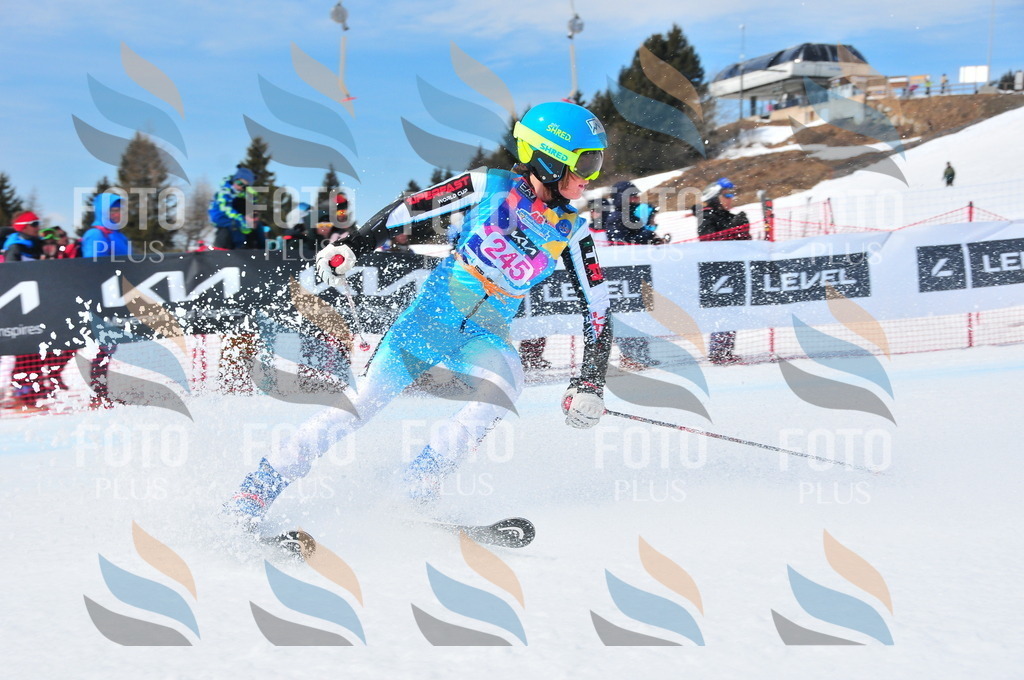 DSC_6035 | holidayphoto