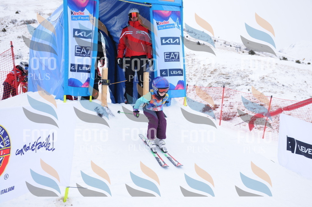 DSC_8284 | holidayphoto