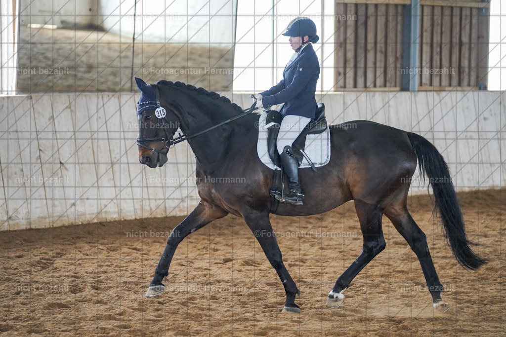 20230520-FAH05115 | Frühjahrsturnier, Landsberg am Lech, 2023, Reitclub Landsberg, Turnierbilder, Fotos Turnier Landsberg, Fotoagentur Herrmann, Turnierfotografen Bayern, Reitsport Fotograf, Pferde Fotograf