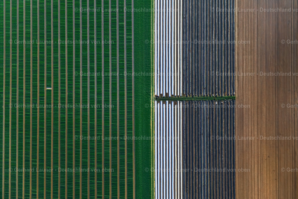 3301352 | Spargelfelder bei Würzburg