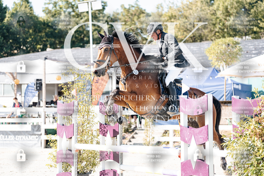CK907468 | Turnierfotografie Pferdefotografie Trier Rheinland-Pfalz Pferdesport Reitsport Tierfotografie Sportfotografie Pferdevideo Pferdevideografie Equestrianvideography equestrianphotography  - Realisiert mit Pictrs.com