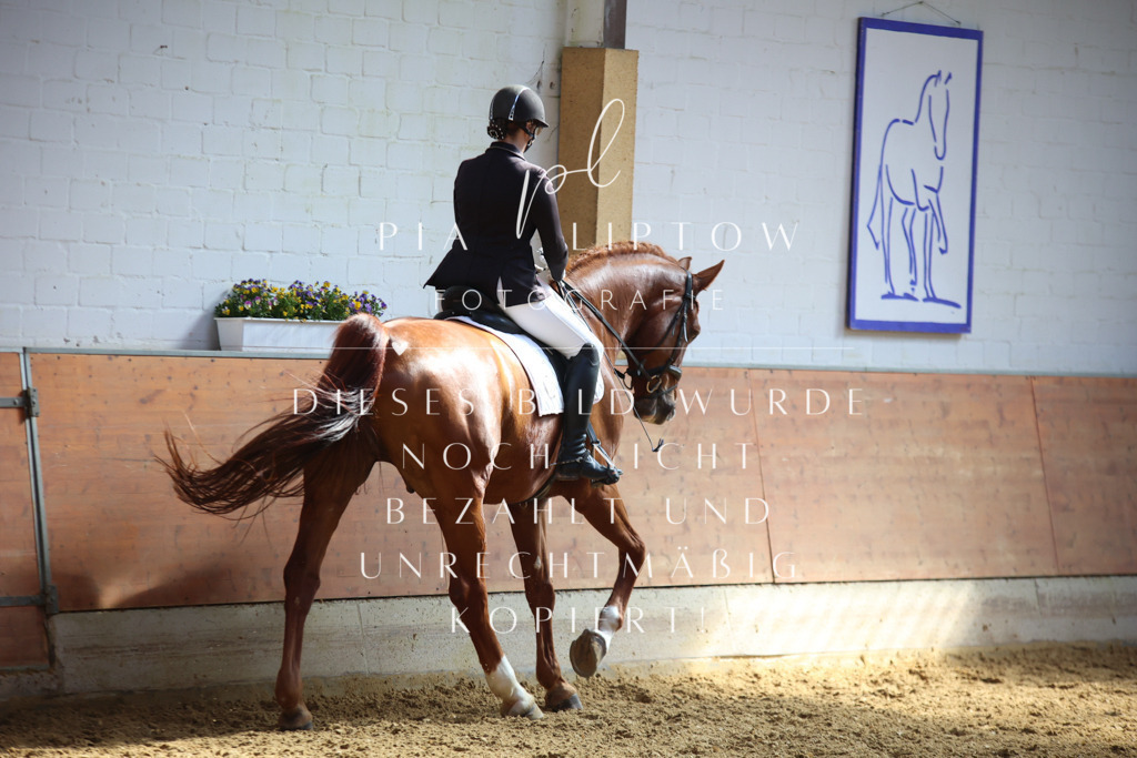 IMGT6952 | pl-fotografie