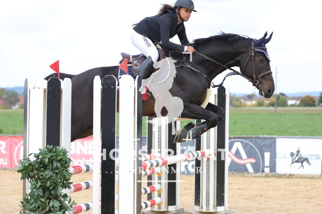 0P6A9410 | Willkommen bei Brunnmayr - Design & Fotografie – Ihrem Spezialisten für Reitturniere und Pferdeveranstaltungen in Oberösterreich, Salzburg und Bayern! Seit über 17 Jahren sind wir leidenschaftlich dabei.