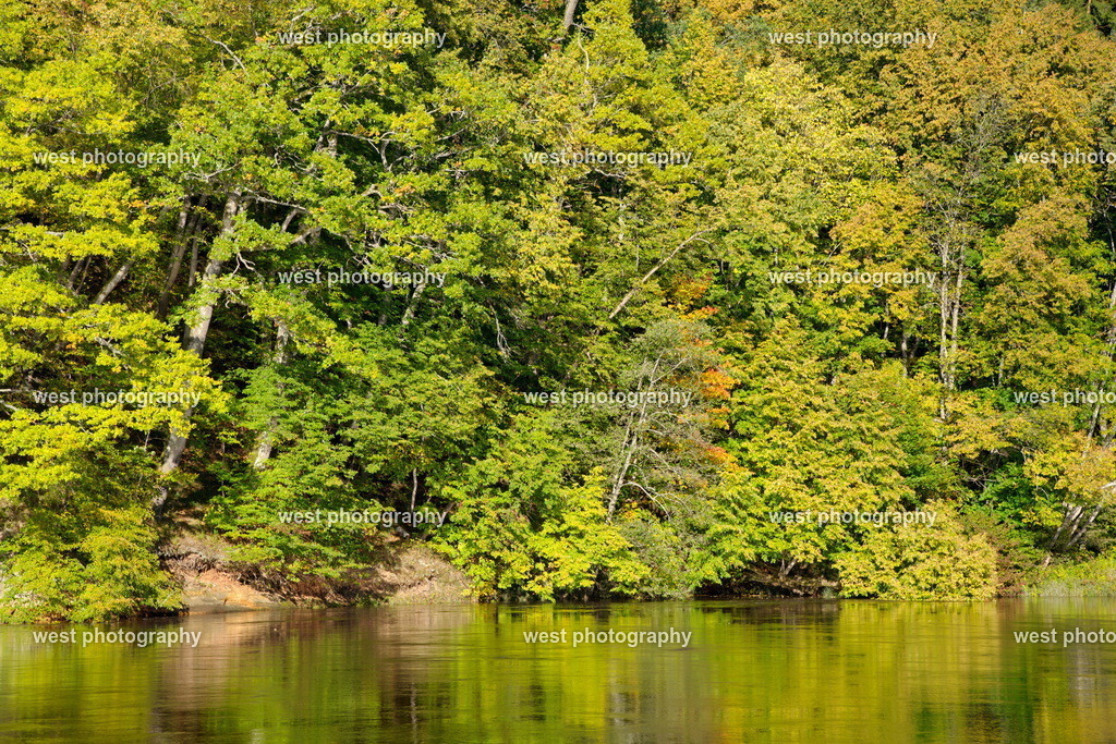 Gauja Forest - 2017 LAT | west photography - Realisiert mit Pictrs.com