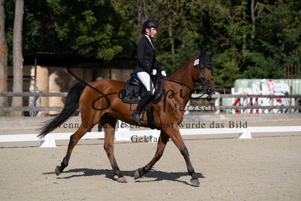 A7V06952 | Turnier/Reitfotograf