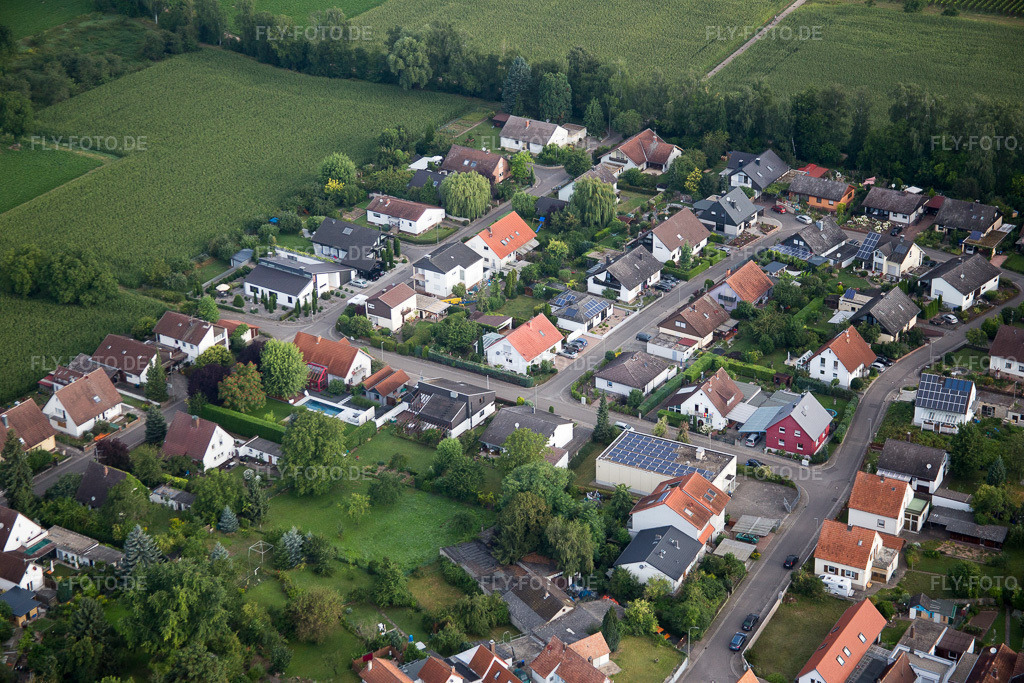 Luftbild: Billigheim-Ingenheim, Maxburgstr im Ortsteil Billigheim in Billigheim-Ingenheim im Bundesland Rheinland-Pfalz in Deutschland. Foto: IMG_092797.jpg vom 13.08.2016 durch Werner Riehm/FLY-FOTO.de