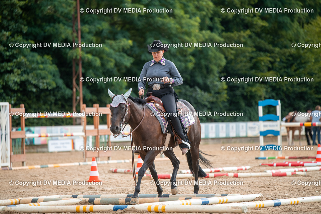 ZS2_7350 | dv-media-shop - Realisiert mit Pictrs.com