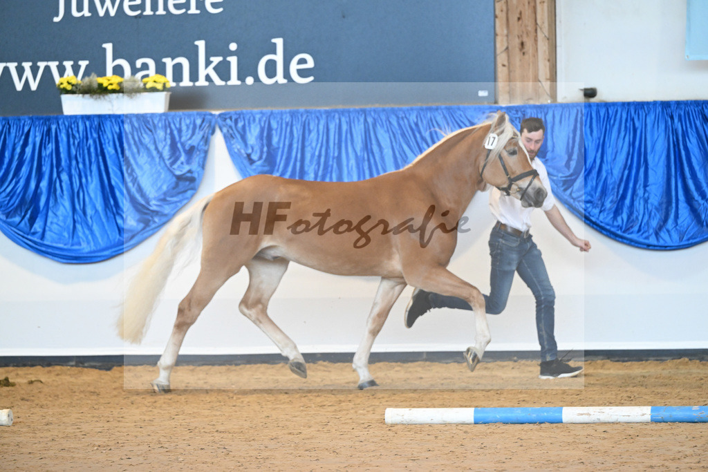 Kat-Nr. 17 nn v. Steingold_Stange_60220740 | hf-fotografie - Realisiert mit Pictrs.com