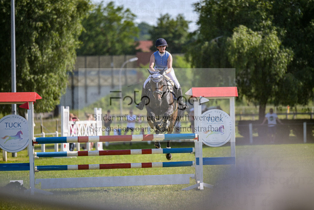 Reitturnier Voxtrup | Entdecke hochwertige Reitturnierfotos von Foto Oger. Professionell, emotional und authentisch – jetzt Lieblingsmomente im Shop bestellen.Deutschlandweite Turnierfotografie. - Realisiert mit Pictrs.com