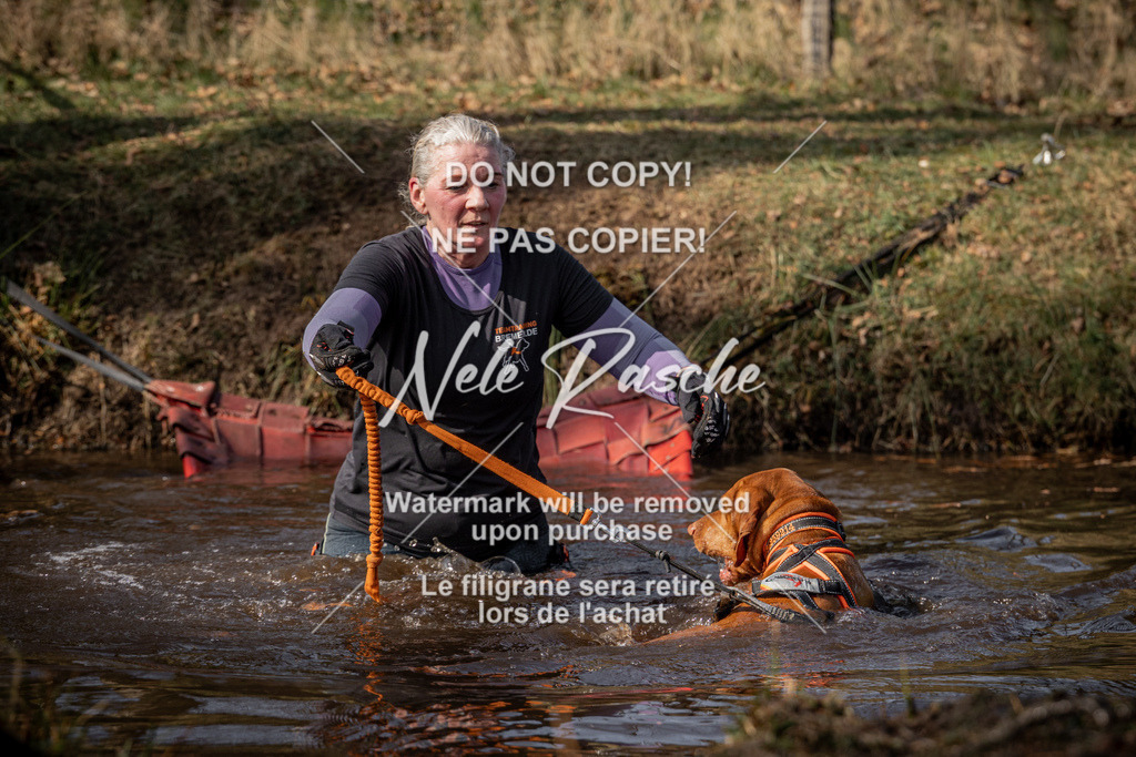 nelerasche_FS1330-1400_299 | nelerasche