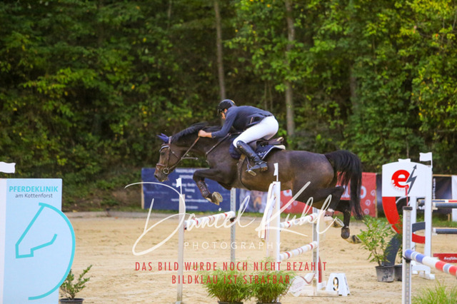 IMG_6237 | Turniersportfotografie; Pferdefotografie; Dressurfotografie